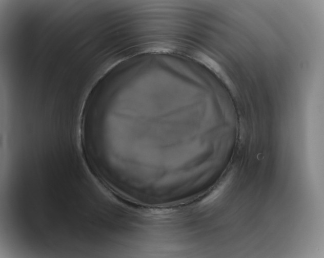X0000088670802200706281920