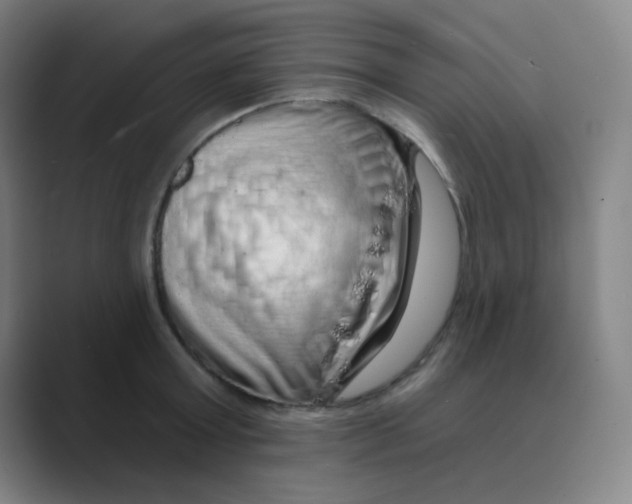 X0000088670803200706281920