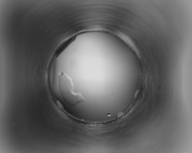 X0000088670805200706281920