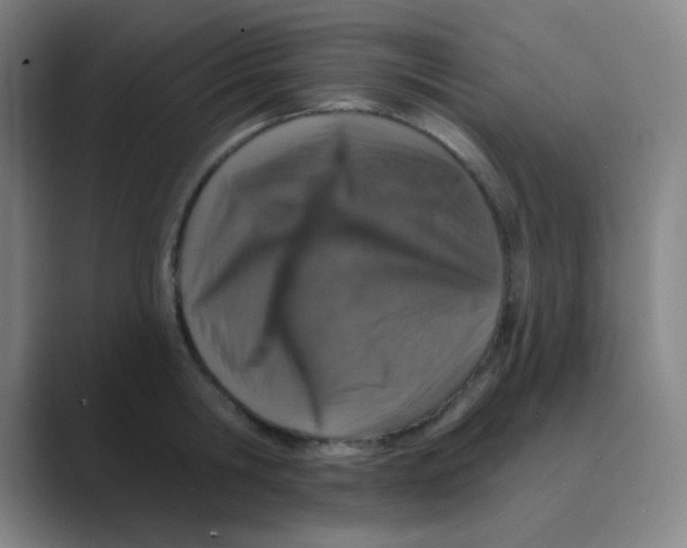X0000088670806200706281920