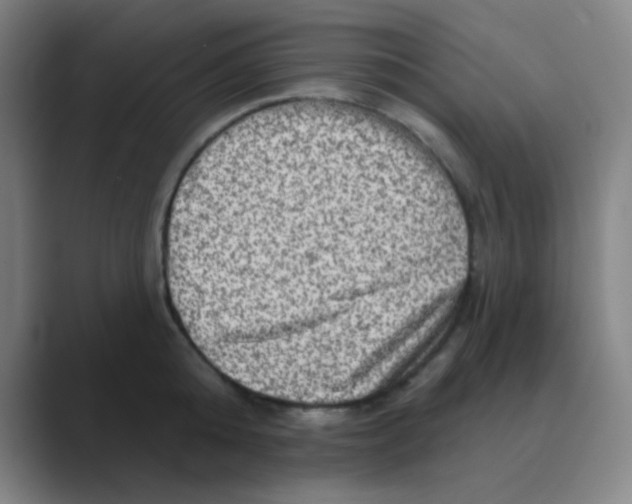 X0000088670808200706281920