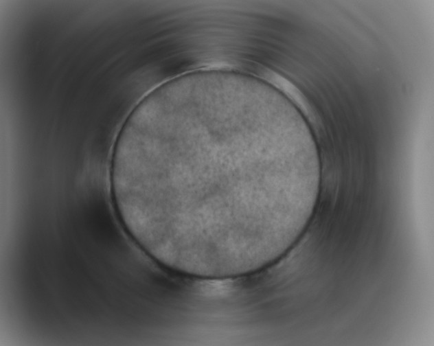 X0000088670810200706281920