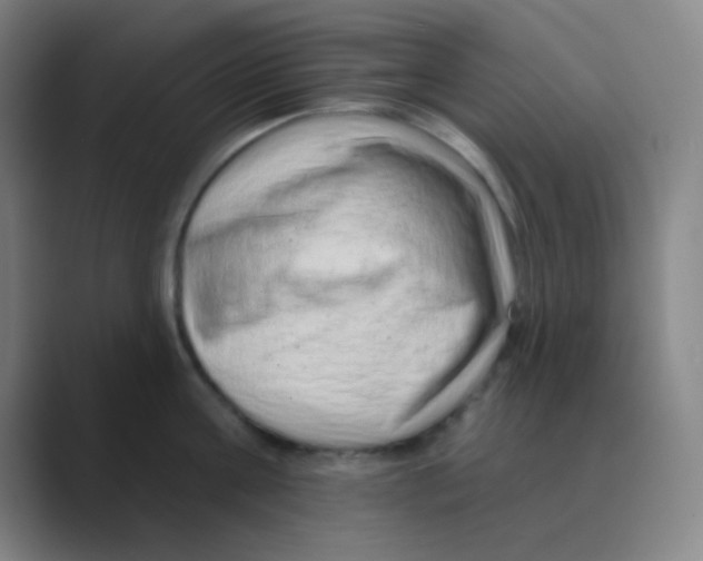 X0000088670811200706281920