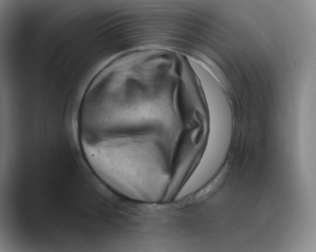 X0000088670812200706281920
