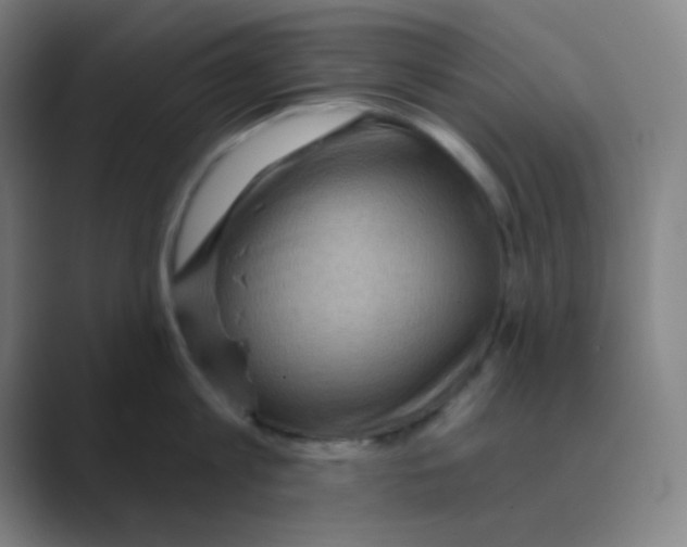 X0000088670813200706281920