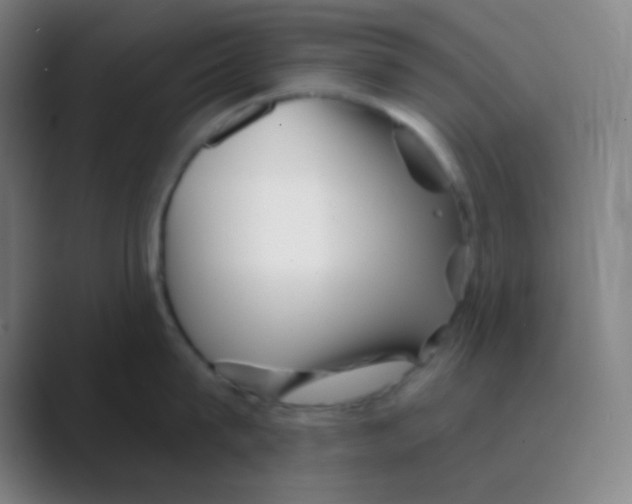 X0000088670815200706281920