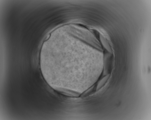X0000088670816200706281920