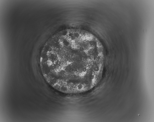 X0000088670817200706281919
