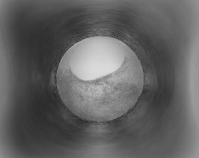 X0000088670820200706281920