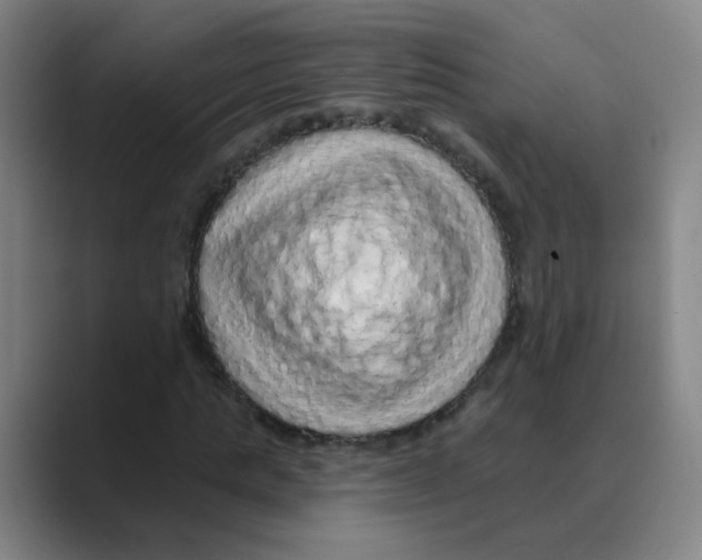 X0000088670821200706281920