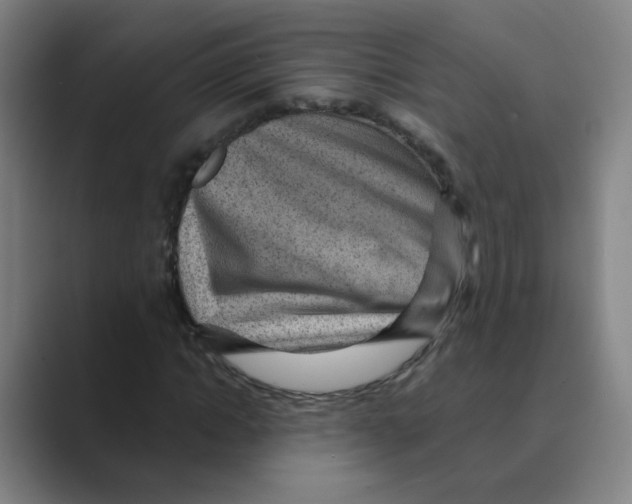 X0000088670822200706281920