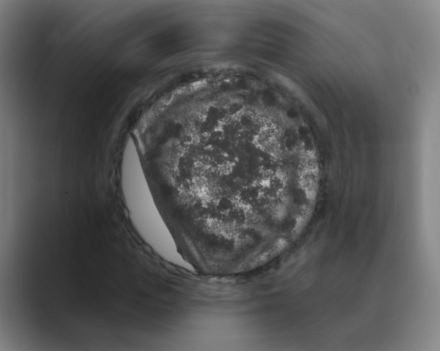 X0000088670823200706281920