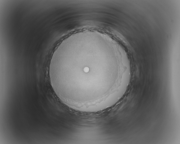 X0000088670824200706281920