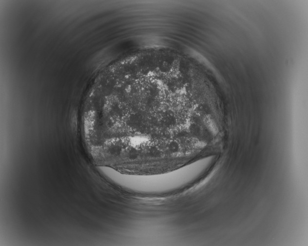 X0000088670825200706281920
