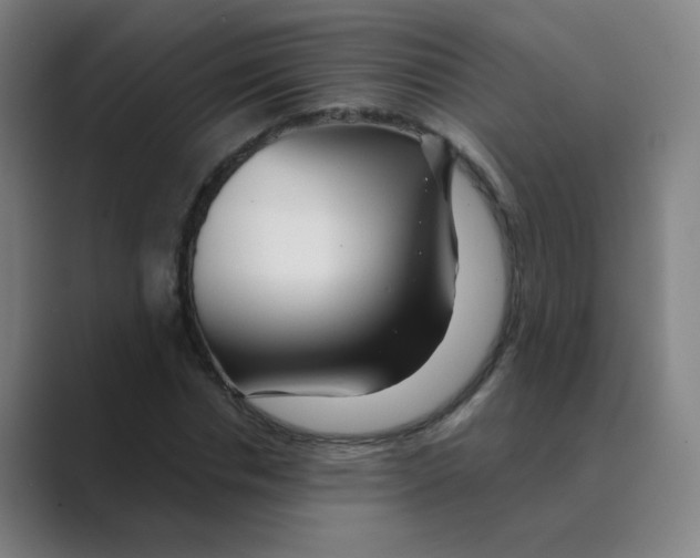 X0000088670826200706281920
