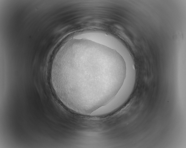 X0000088670828200706281920