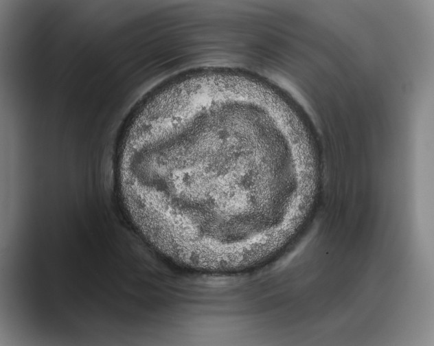 X0000088670829200706281920