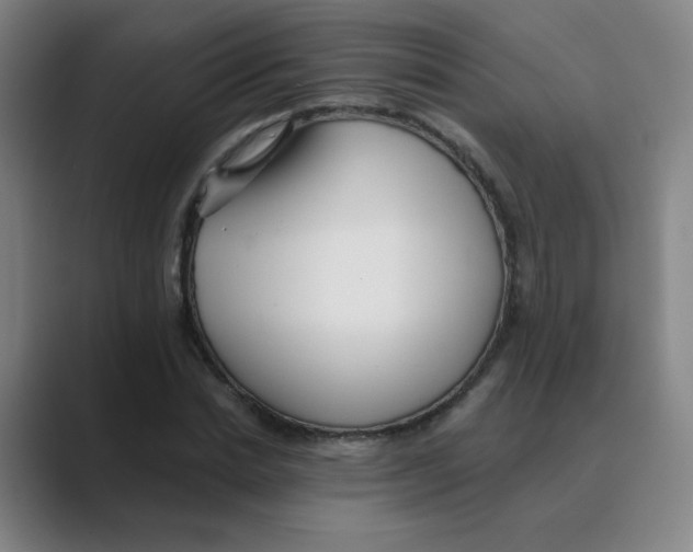 X0000088670830200706281920