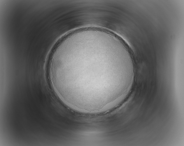 X0000088670832200706281920