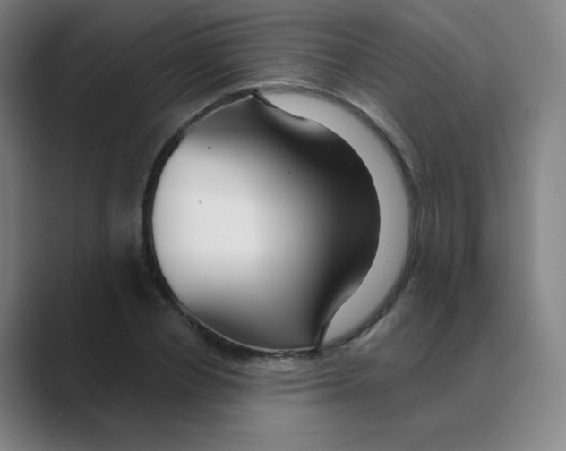 X0000088670834200706281920