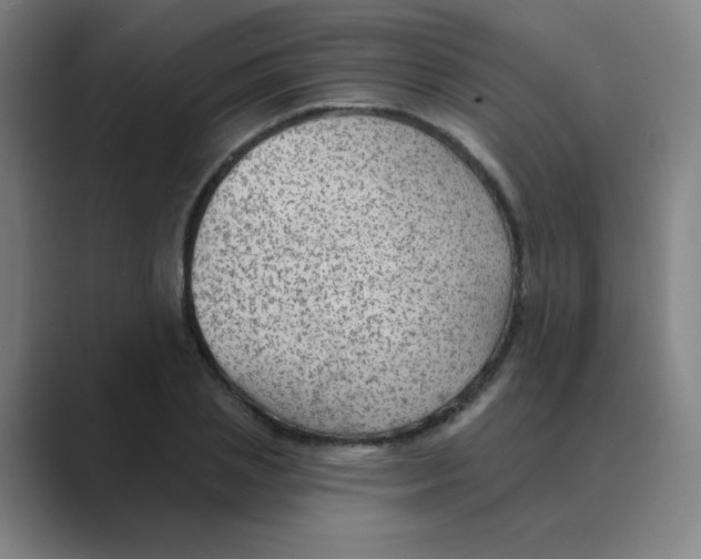 X0000088670837200706281920