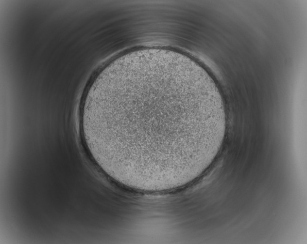 X0000088670840200706281920