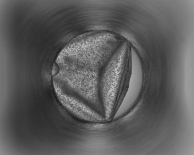 X0000088670841200706281920