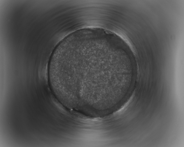 X0000088670842200706281920