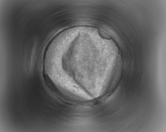 X0000088670844200706281920