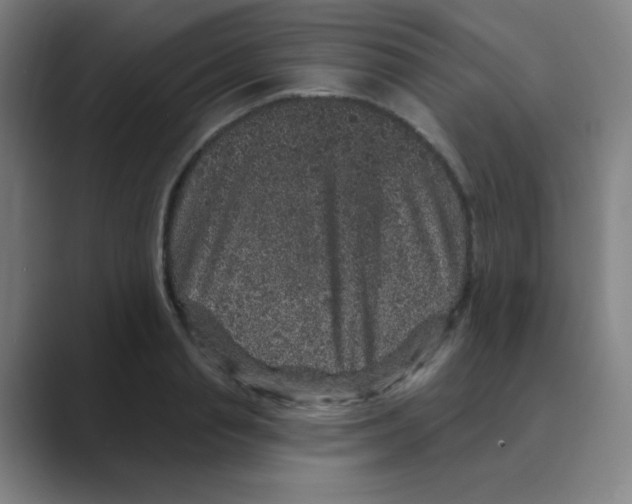 X0000088670845200706281920