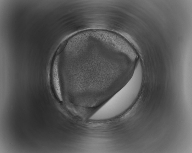 X0000088670846200706281920