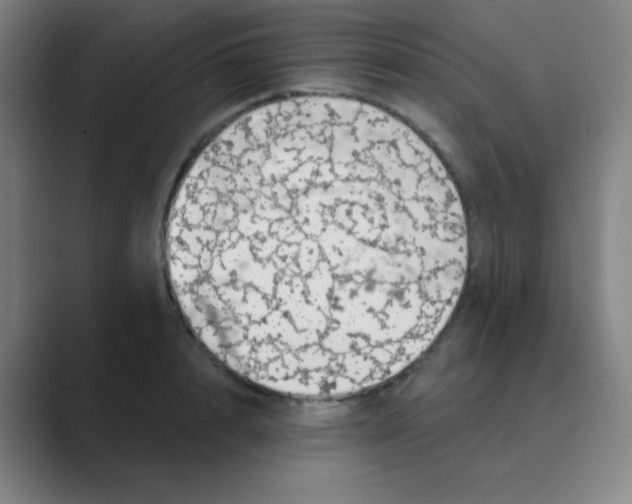 X0000088670848200706281920