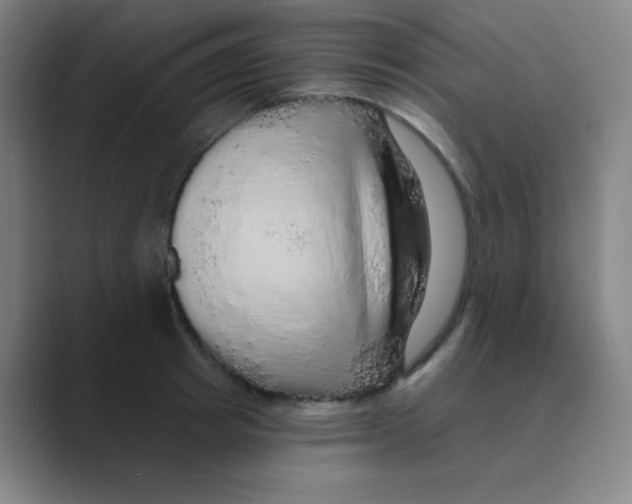 X0000088670849200706281920
