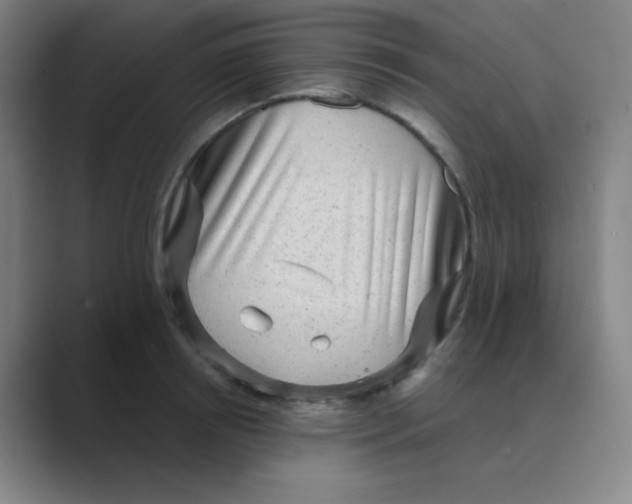 X0000088670850200706281920