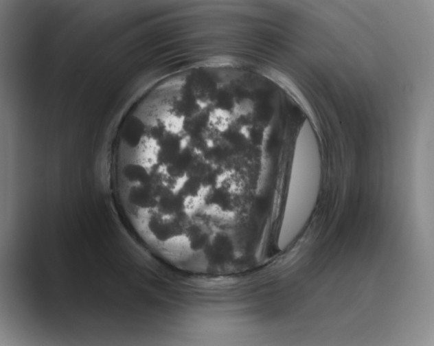 X0000088670851200706281920