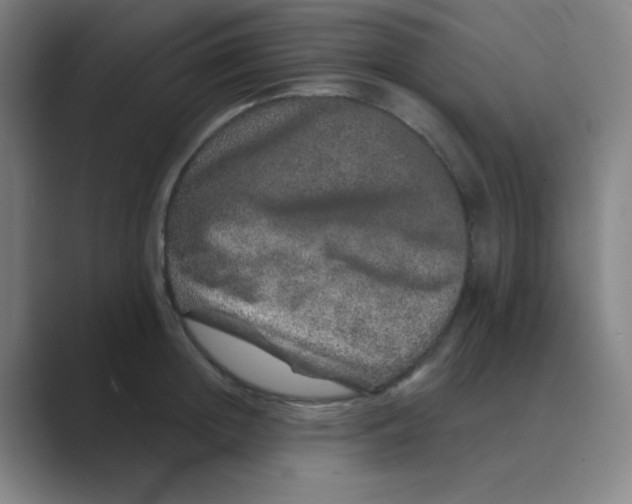 X0000088670852200706281920