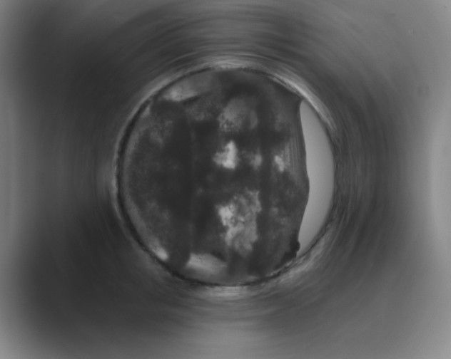 X0000088670853200706281920