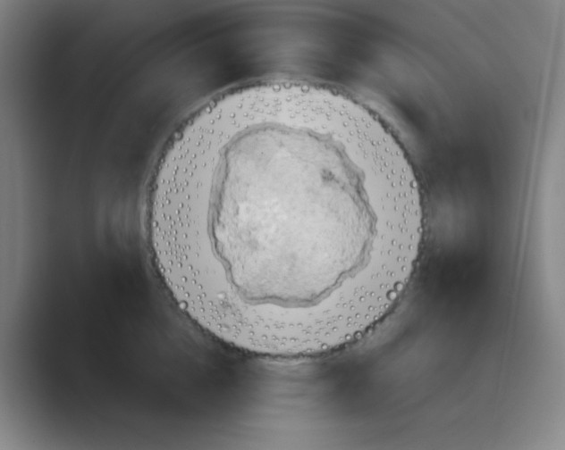 X0000088670856200706281920