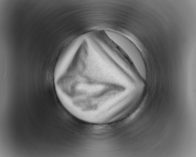 X0000088670857200706281920
