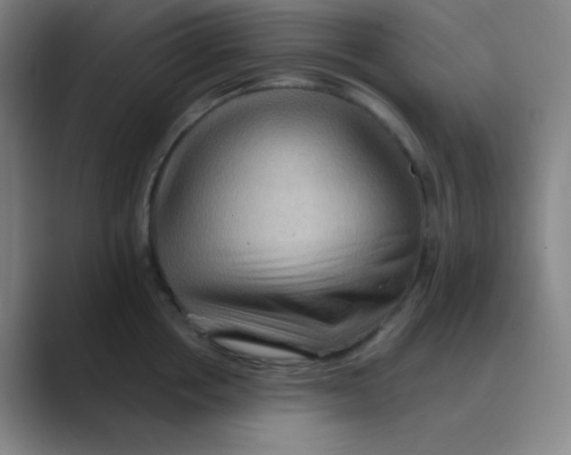 X0000088670858200706281920