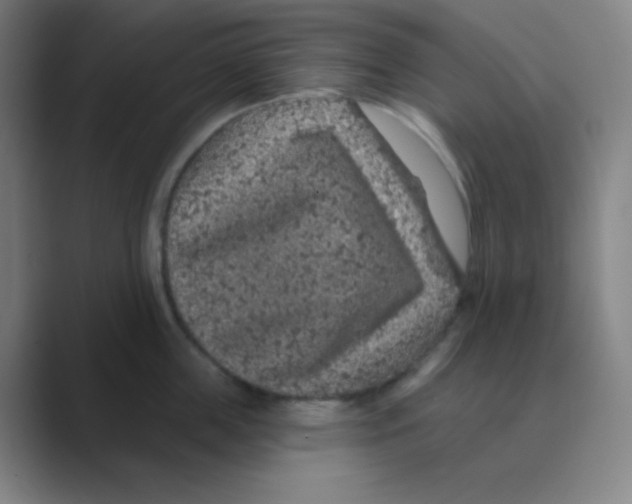 X0000088670859200706281920