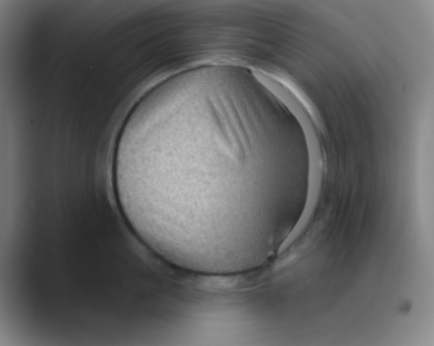 X0000088670861200706281920
