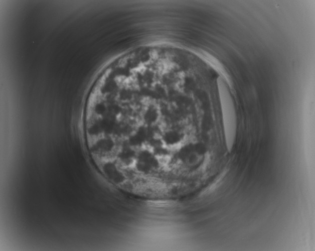 X0000088670863200706281920