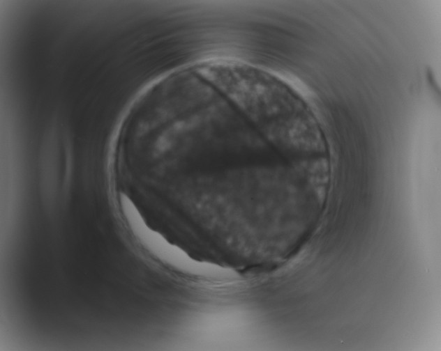 X0000088670864200706281920