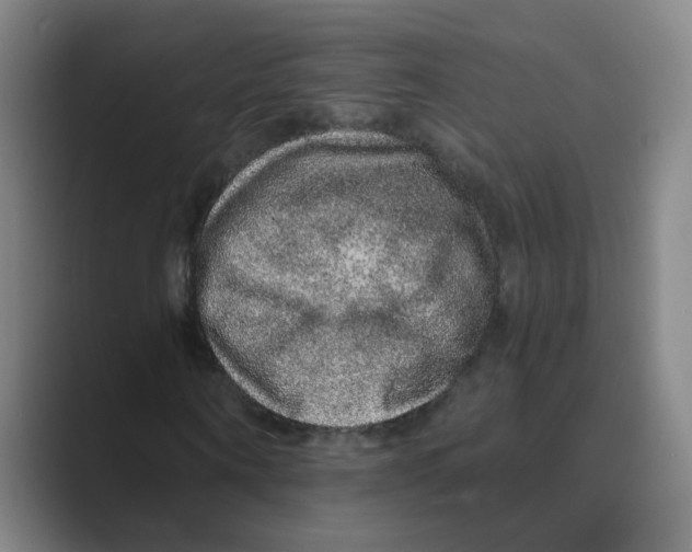 X0000088670866200706281919