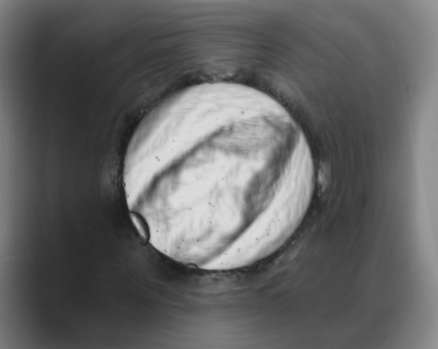 X0000088670867200706281919