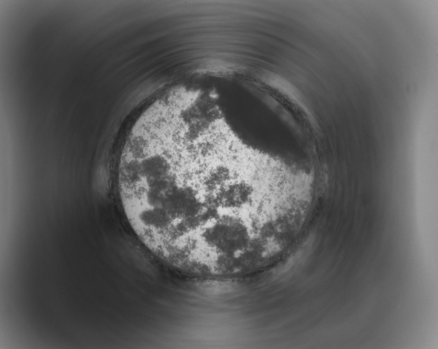 X0000088670874200706281919