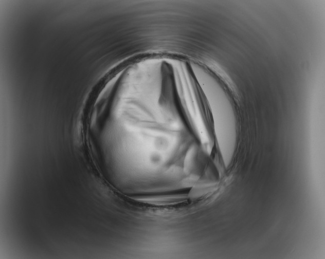 X0000088670876200706281919