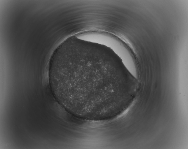 X0000088670877200706281919