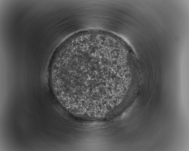 X0000088670879200706281919